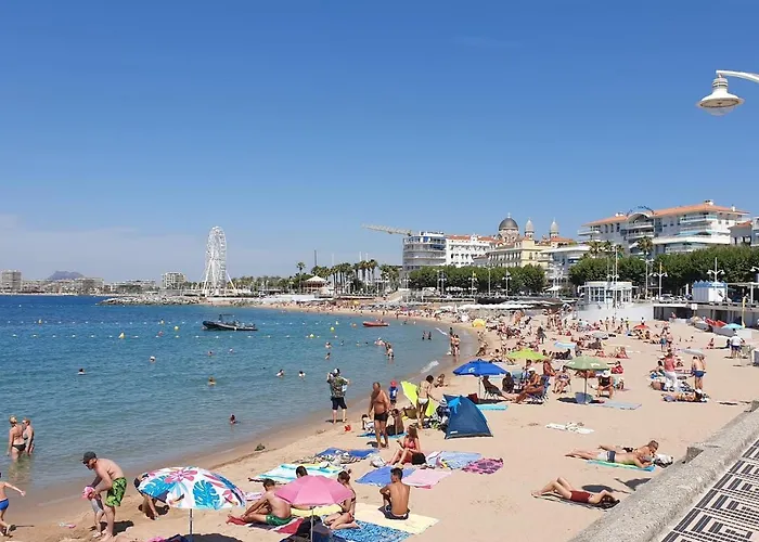 Le Belvédère Du Vieux Port Plages Centre Et Gare à Pied Appartamento